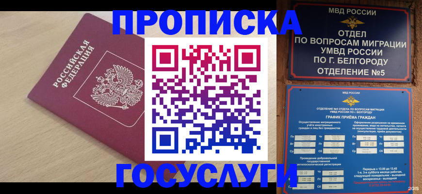 прописка законно в Сланцах